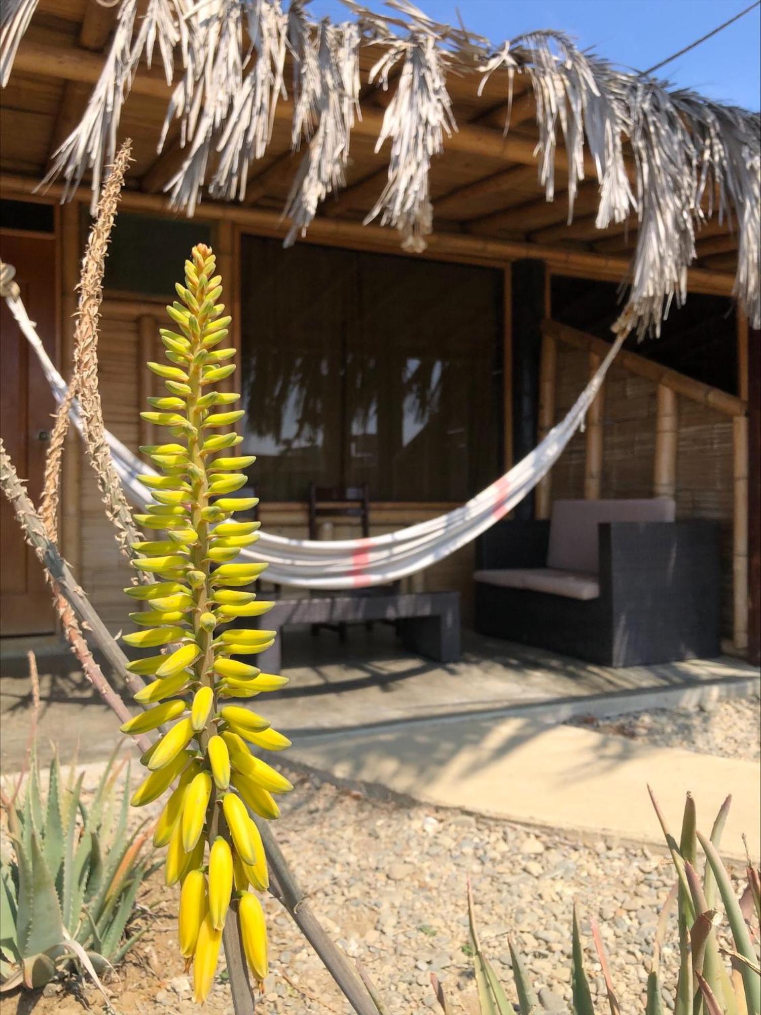 Wayra Hotel Lobitos Bagian luar foto